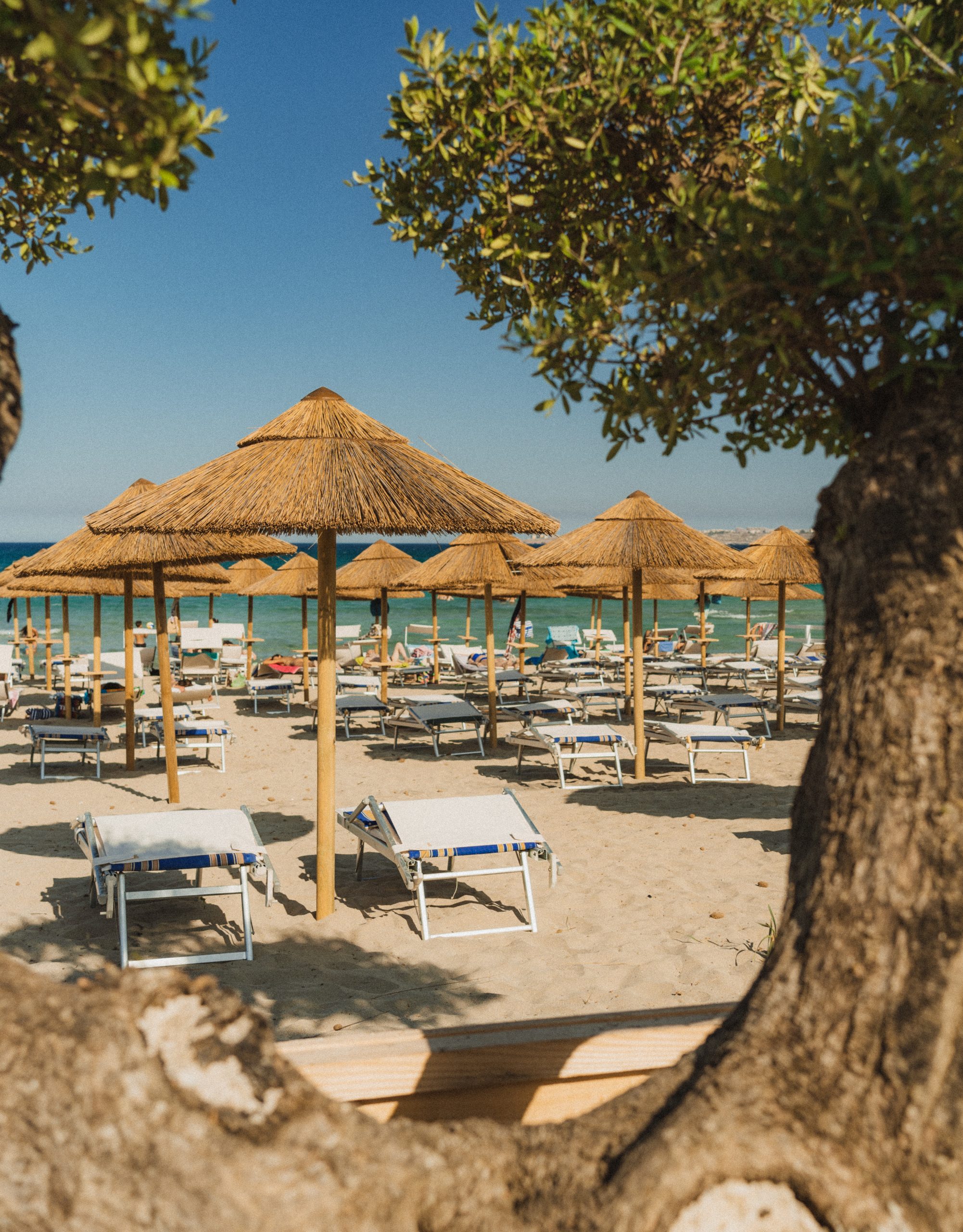 Location One Beach (1)